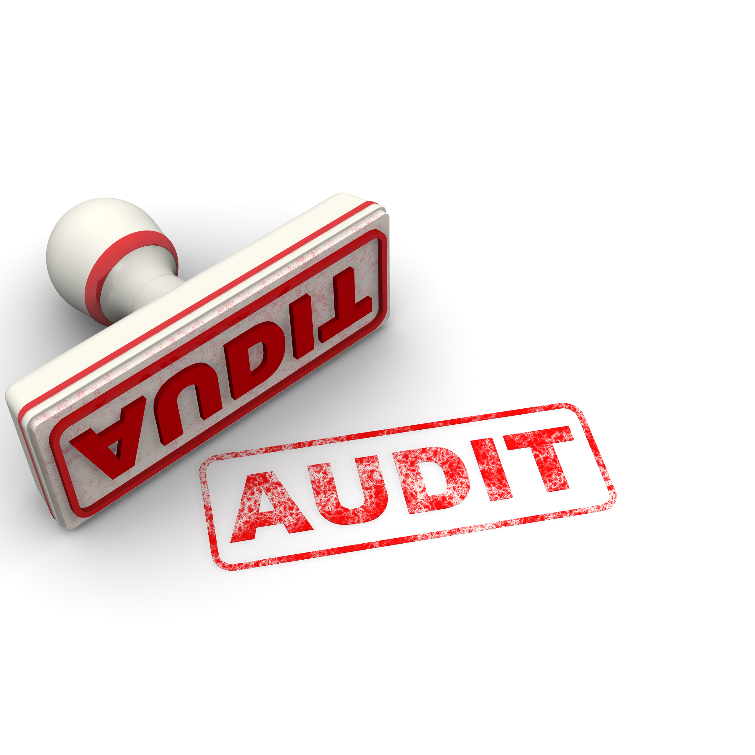 Healthcare Audit Case Study